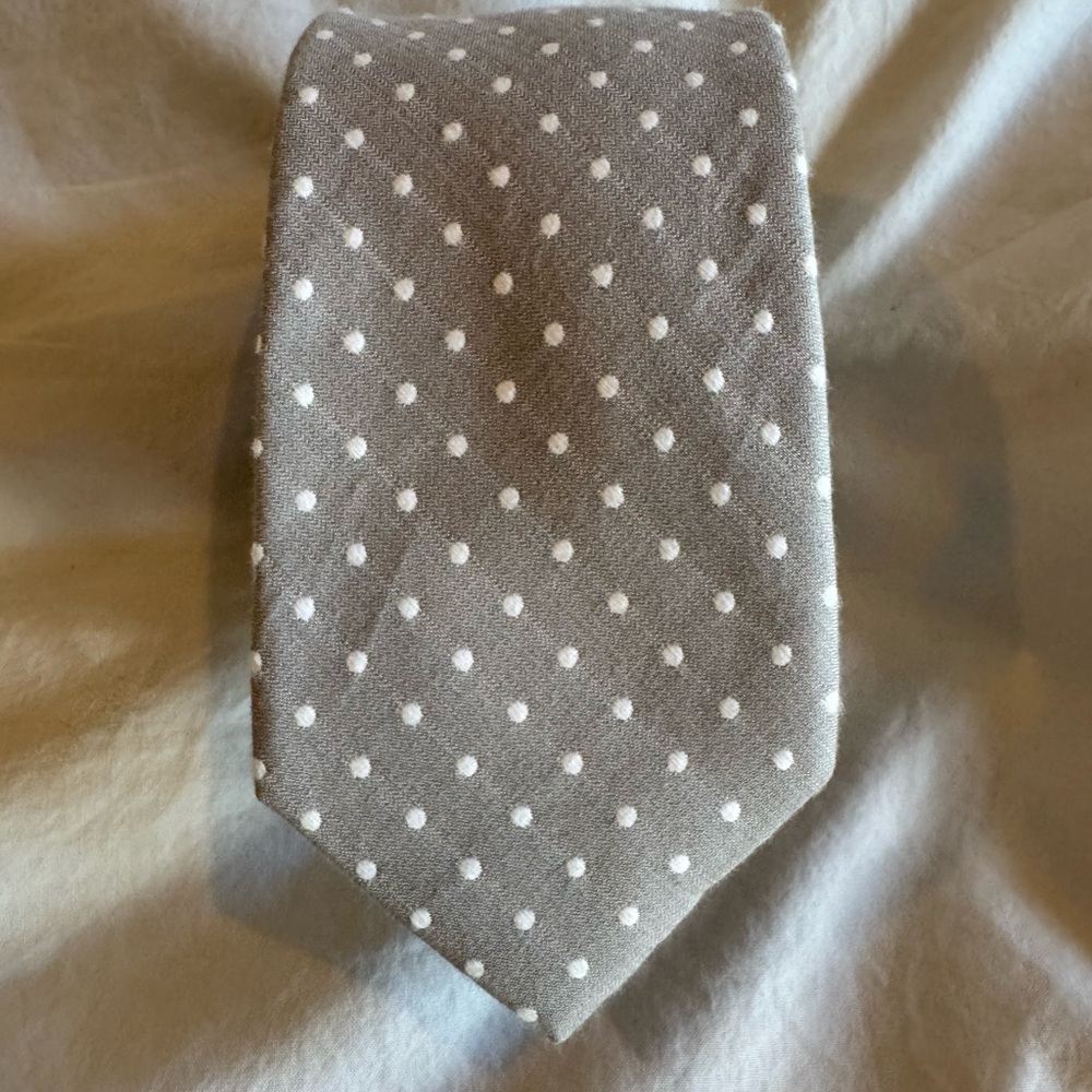 1901 Gray Polka Dot Men's Tie